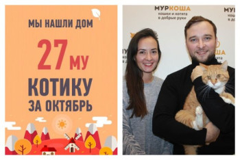 Кот Раджа получает третий шанс на счастливую жизнь!