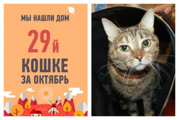 Прошло меньше месяца, а пятилетняя Алечка уже снова дома!