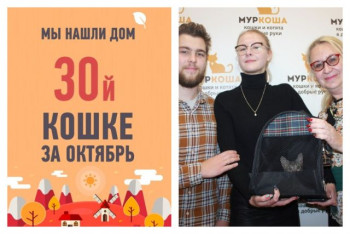 Не прошло и 2 месяцев, как крошка Жека стала домашней любимицей!
