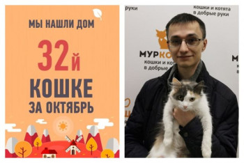 Закончились скитания полуторагодовалой Красны Девицы!