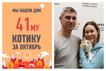 Не зря Вавилон верил в лучшее, не смотря ни на что!