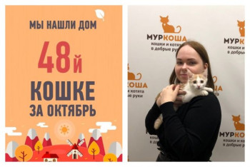Не прошло и двух месяцев, как малышка Викуся обрела маму!