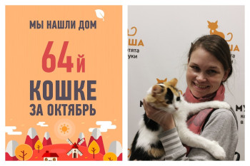 Кошка Мэрри рада познакомить вас с новой хозяйкой!