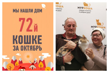 Долгожданное домашнее счастье красавицы Павлины!