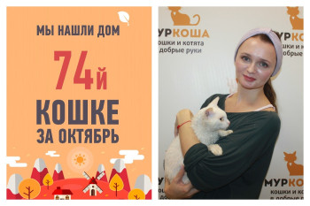 Провожаем в новый дом красавицу Долли!