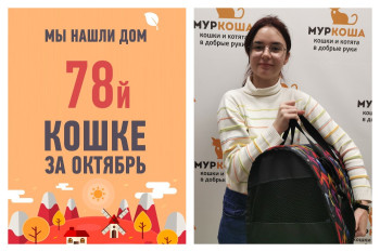 Трехлетняя Магнезия снова стала домашней любимицей!