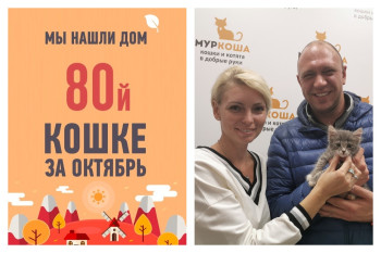 Второй шанс на домашнее счастье обрела Вкусняшка!