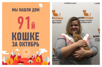 Ирисочка накричала себе удачу!