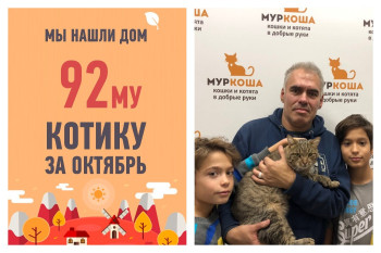 Брутальный Пандус и его новая семья!