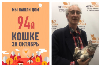 Счастливая история юной путешественницы Биби!