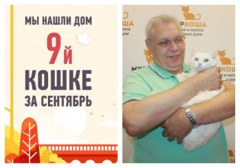 Вторая попытка стать счастливой у кошки Леонеллы!