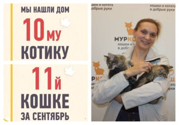 Двойная порция счастья: провожаем домой котят Гусара и Наденьку!
