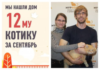 Кот Огонечек снова стал домашним!