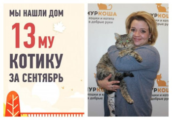 Четырехлетний кот Искандер с завода стал домашним!