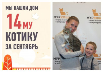 Годовалый кот Брюлон встретил свою семью спустя 1,5 месяца!
