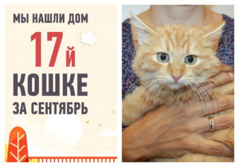 Спустя три недели Мотивашка отправилась в новый дом!