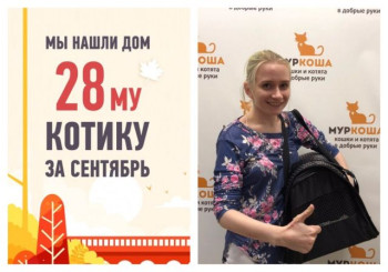 У двухлетнего котика Бугага появилась хозяйка!