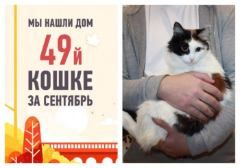 Свой дом появился и у кошечки Айлин!