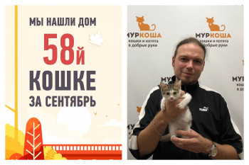 Сушка и ее счастливая история!