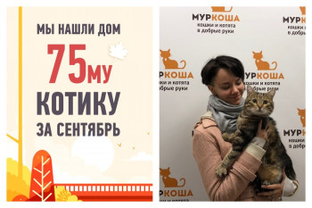 Мы нашли хозяйку для трехлетнего Макса!