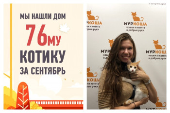 Шестимесячный Эмиль отправляется в новый дом!