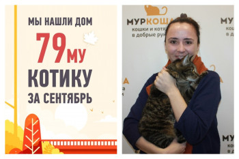 Домой за два месяца? Легко! Инструкция от Санчо.
