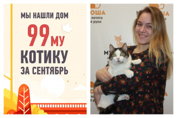Кот Барсик становится хедлайнером счастливого марафона выпускников сентября!