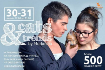 Выставка приюта «Муркоша» «Cats&Trends»
