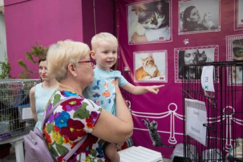 Фестиваль «Котики выше 2» в Дарвиновском музее