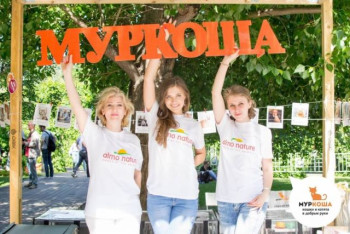 "Муркоша" на фестивале Petshop Days в саду им. Баумана 2.06.18