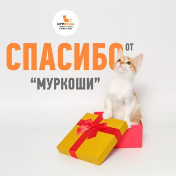Люди, чья доброта не знает границ!  (6 сентября)
