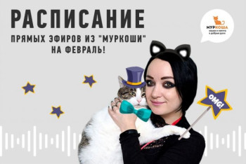 Расписание февральских прямых эфиров!