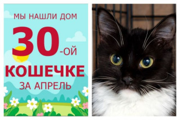 Мы провожаем в счастливую жизнь годовалую Манжетку!