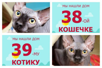 Братик Коля и сестричка Ари спустя месяц уезжают в новую жизнь!