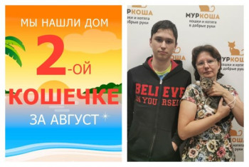У кошечки Базильки появилась любящая семья!