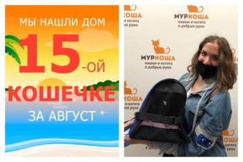 Луладджа теперь домашняя и счастливая!