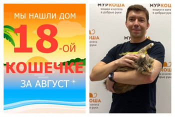 Роскошная кошечка Устина встретила надёжного друга!