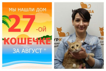 Кошечка Фанта уезжает в новый дом!