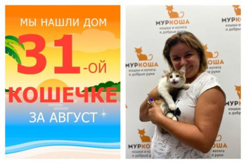 Кошечка Тамань отправилась в новый дом!
