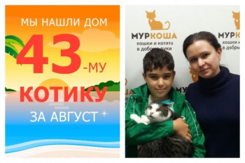 Кот Магний теперь домашний и счастливый!