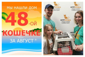 У нежной кошечки Лаймы появились дом и семья!