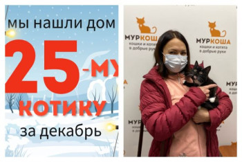 Милый Лукьян теперь домашний и счастливый!