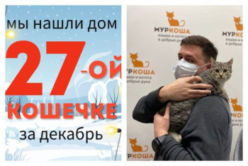 Кошечка Медок стала домашней любимицей!