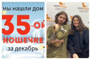 Кошечка Сарбона встретила хозяев за один месяц!
