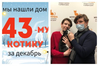 Котик Шубейкин начинает новую жизнь!