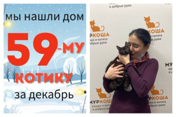 Малыш Блэкджек теперь домашний любимец!