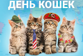 Сегодня во всем мире отмечается День Кошек!