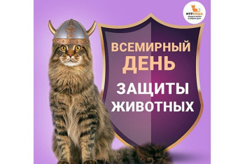 День защиты животных