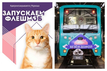 Флешмоб #двериНЕзакрываются