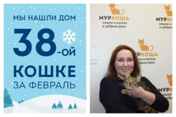Кошечка Мередит стала домашней всего за один месяц!